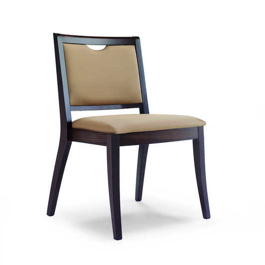Dmp Distribution Dalia Stuhl